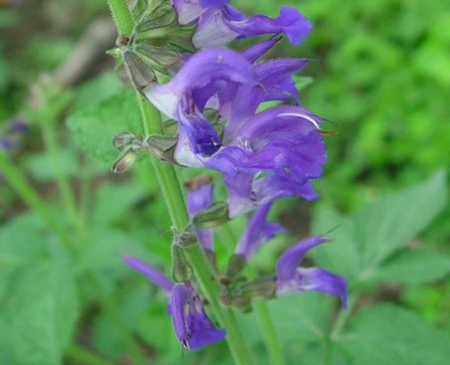 本来只想「伪素颜」,没想到爱怡美素颜霜连色斑都帮我祛除了 素颜 爱怡美素颜霜 美妆 第5张 本来只想「伪素颜」,没想到爱怡美素颜霜连色斑都帮我祛除了 素颜 爱怡美素颜霜 美妆 第5张