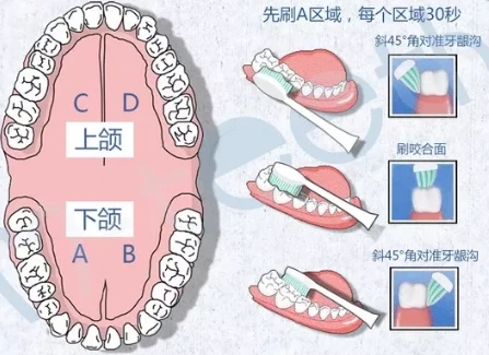 usmile电动牙刷如何使用效果更佳 电动牙刷 usmile电动牙刷 电动牙刷什么牌子好 美容 第2张 usmile电动牙刷如何使用效果更佳 电动牙刷 usmile电动牙刷 电动牙刷什么牌子好 美容 第2张