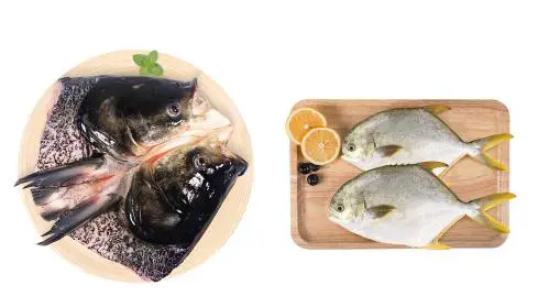 头发油腻吃什么好呢 头发 头发油腻吃什么 美容 第2张