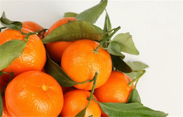 去皱纹的最好方法 护肤 第9张