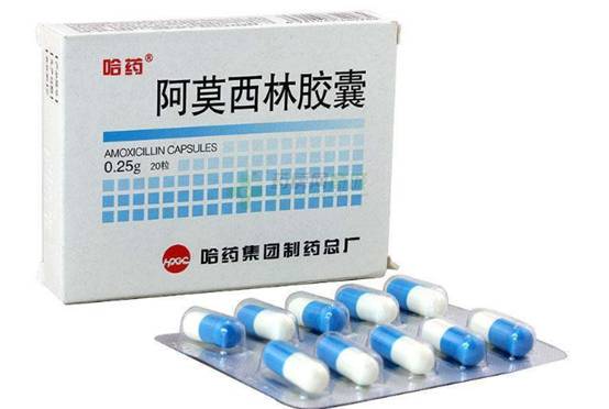 阿莫西林真的可以去黑头吗 黑头 阿莫西林 美妆 第1张