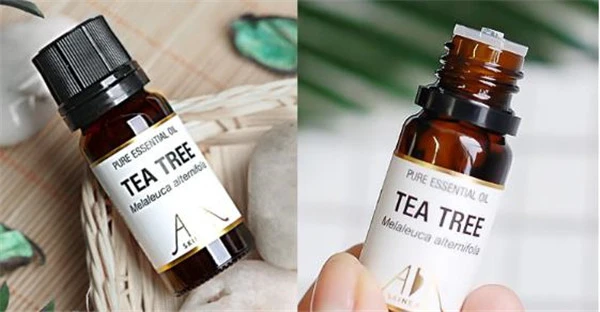 茶树精油有哪些用法 茶树精油 茶树精油的用法 茶树精油的功效 美妆 第2张