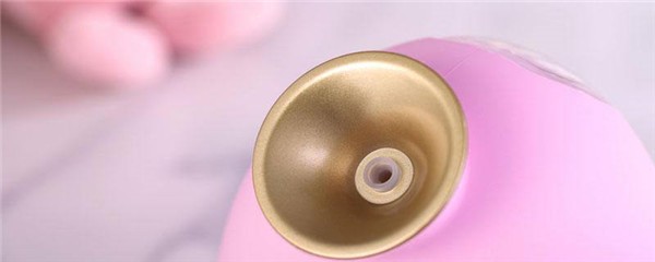 蒸脸器和补水仪一样吗，蒸脸器补水仪怎么用更好 护肤 第1张