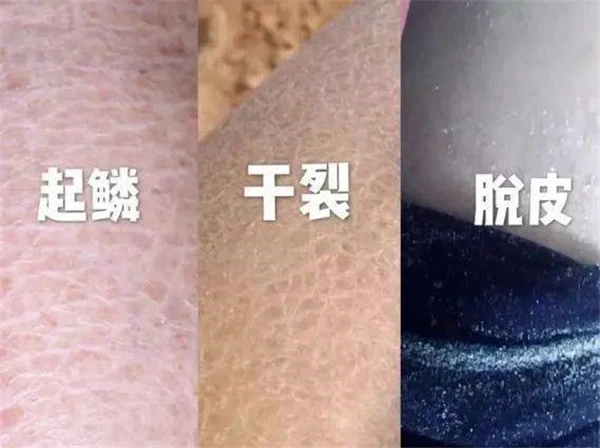 伊丽莎白雅顿身体乳补充肌肤水份打造润滑肌肤 身体乳 润滑 第4张