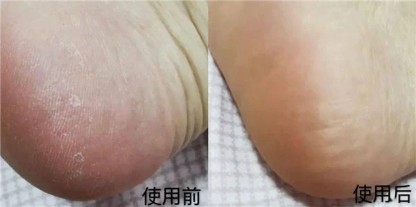 伊丽莎白雅顿身体乳补充肌肤水份打造润滑肌肤 身体乳 润滑 第16张