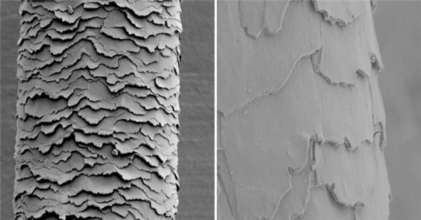 防止头发干燥和保湿头发的三种方法 护发 第1张