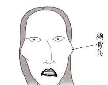 高颧骨是什么样子 高颧骨 高颧骨样子 美妆 第1张