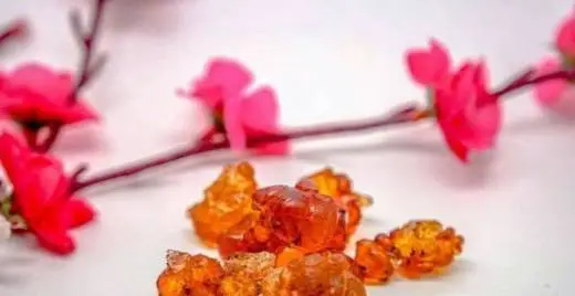 25岁后留住胶原蛋白吃这些食物，滋润肌肤又美容养颜 胶原蛋白 食物 第8张