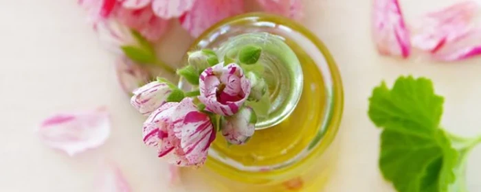 橄榄油的祛斑方法 橄榄油 美妆 第2张 橄榄油的祛斑方法 橄榄油 美妆 第2张