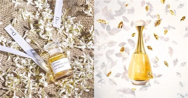 清新优雅的发香喷雾推荐，香奈儿CHANCE花果香气甜而不腻 发香喷雾 香奈儿 第2张