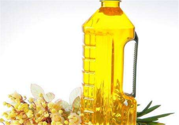 苦茶油和山茶油美容的区别，苦茶油仔是碱性吗 苦茶油 山茶油 第1张