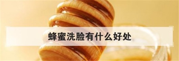 蜂蜜洗脸可润滑肌肤帮助排毒，有抗衰老、防干燥的功效 蜂蜜洗脸 功效 第1张