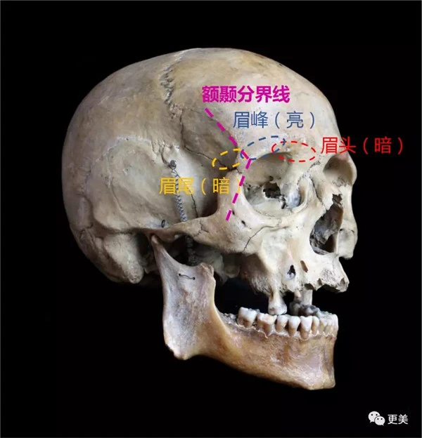 细弯眉妆容打造超强时尚感和精致度，细弯眉画法 细弯眉 时尚感 第37张