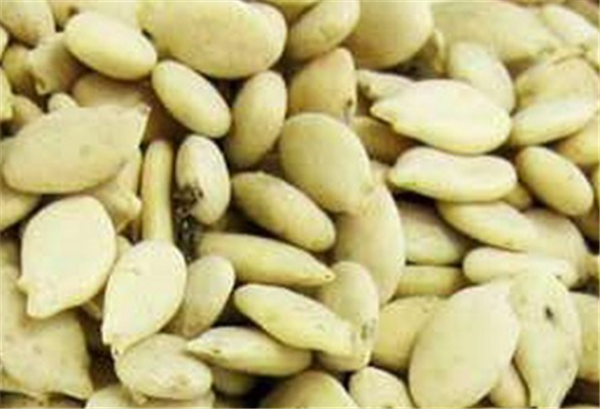 冬瓜子美白的正确方法，白芷加冬瓜子打粉能美白吗 冬瓜子 白芷 第1张