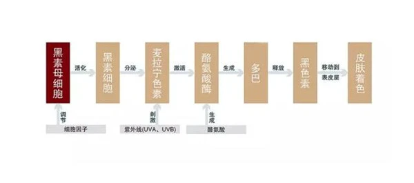 油性肌肤适合哪款精华液，不含油脂的精华液不含油脂的精华液 油性肌肤 精华液 第10张