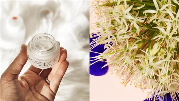 轻熟龄适合用的抗初老眼霜推荐，导致眼周老化的四大问题 眼周老化 眼霜 第8张