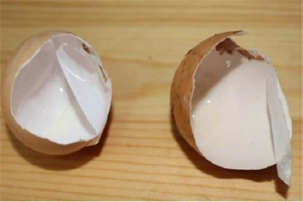 鸡蛋膜祛除黑头的方法，可以用鸡蛋内膜吸黑头吗 鸡蛋膜 祛除黑头 第3张