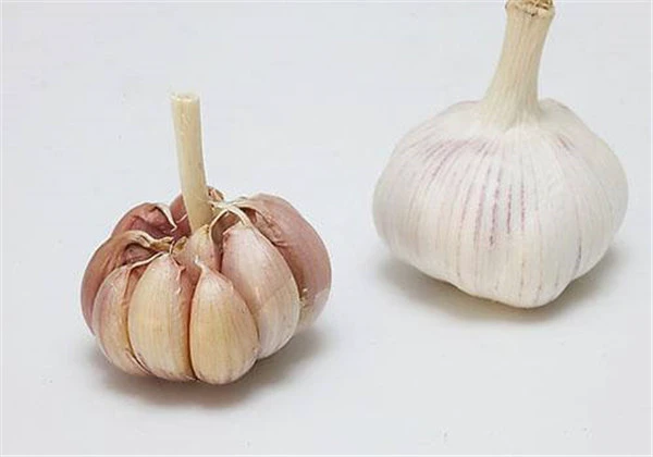 醋泡大蒜美容吗，爱美的你千万别错过最独特的大蒜面膜！ 护肤 第2张