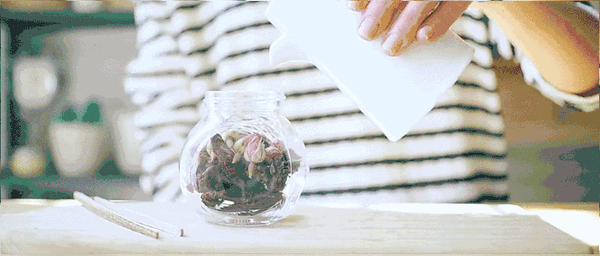 自己怎么自制胭脂膏，DIY自制胭脂膏方法步骤图片 胭脂 自制胭脂膏方法 如何DIY自制胭脂膏方法步骤图片 美妆 第5张