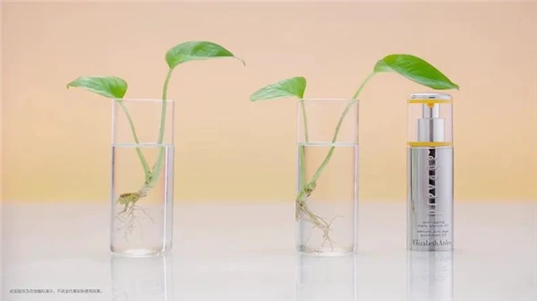 伊丽莎白雅顿全新橘灿精华2.0重磅上市 伊丽莎白 精华 雅顿 第13张