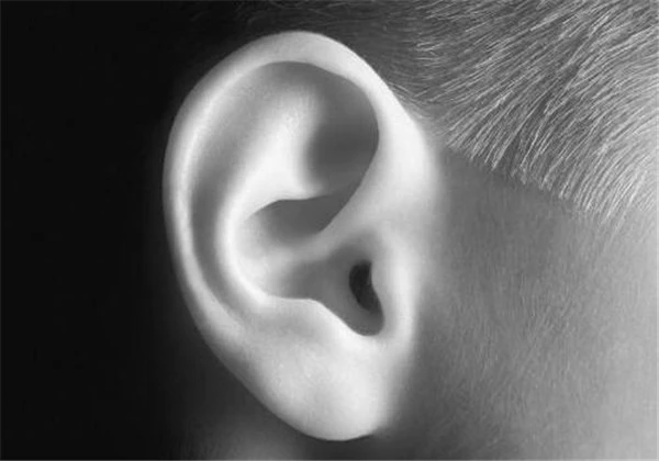 自体脂肪面部填充价格 护肤 第6张