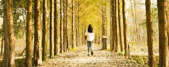 怎样全身变白 全身变白 美妆 第2张