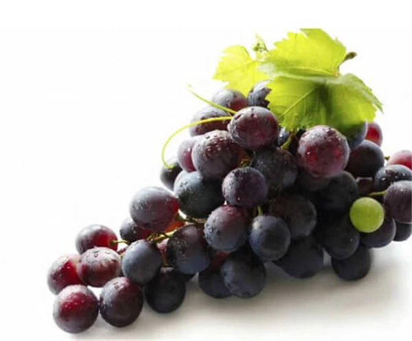 祛痘吃什么好 护肤 第4张