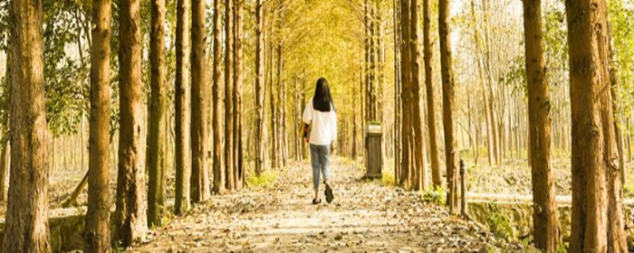 眼袋太大怎么办 眼袋太大 美妆 第3张