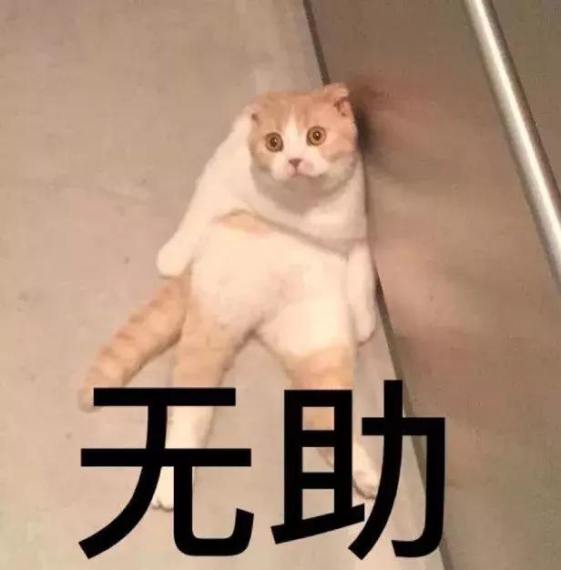 粉丝踢馆，换季护肤清单里不能没有它们 换季 换季护肤 换季过敏用什么？ 美容 第1张