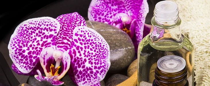 弹力素和精油的区别 弹力素 精油 美妆 第2张