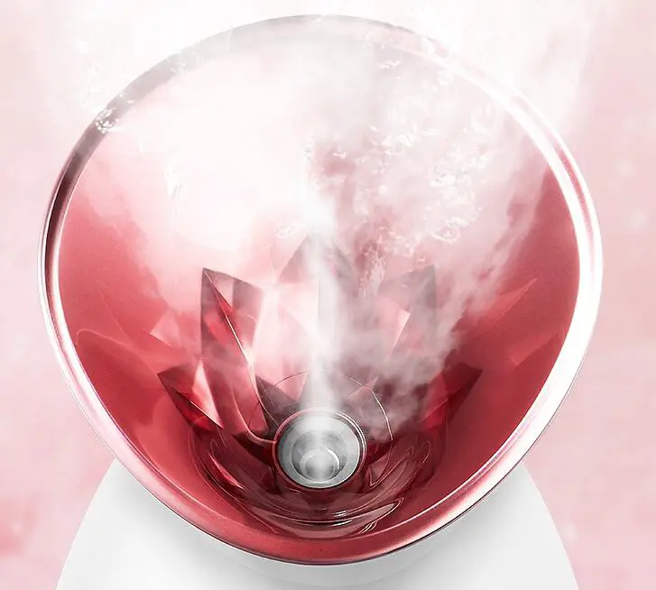 蒸脸器哪个牌子好用，蒸脸器和补水仪的区别 补水 补水仪 蒸脸器和补水仪的区别 美容 第2张