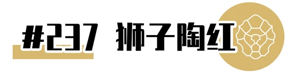 CHANEL2021年新品限定香奈儿狮子口红全系试色大全 口红 香奈儿 第24张