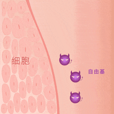 澳芝曼绵羊油身体乳滋养嫩肤，保湿功效颇受好评 澳芝曼 身体乳 第27张