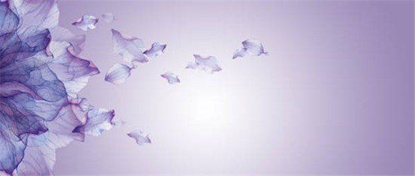 紫色的象征意义有哪些，紫色代表什么 紫色 意义 第1张