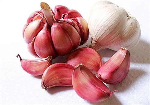 醋泡大蒜美容吗，爱美的你千万别错过最独特的大蒜面膜！ 护肤 第3张