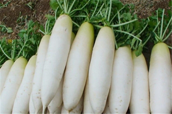 柠檬水含丰富的维生素C，经常饮用能防止雀斑 柠檬水 雀斑 第2张