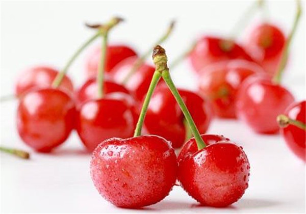 延缓衰老的最好办法，这些食物要多吃 护肤 第1张