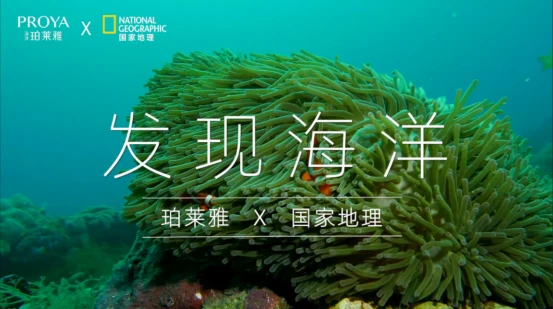 去溯源，「去发现」，海洋珀莱雅再升级， 珀莱雅 国货美妆品牌 美妆 第2张
