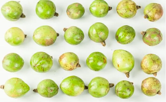 茶油可以擦脸吗，茶油的功效与作用 茶油 茶油护肤 茶油有什么护肤作用 美容 第4张