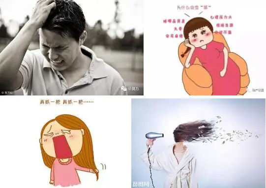 经常掉头发是怎么回事，六大原因告诉您 脱发 掉头发原因 美容 第3张