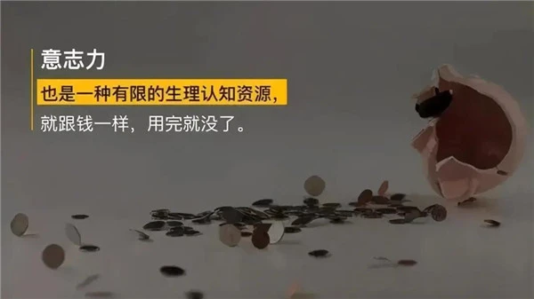 节食减肥基础代谢降低,不吃晚饭水煮菜减肥严重反弹缺少油脂 代谢降低 油脂 第12张 节食减肥基础代谢降低,不吃晚饭水煮菜减肥严重反弹缺少油脂 代谢降低 油脂 第12张