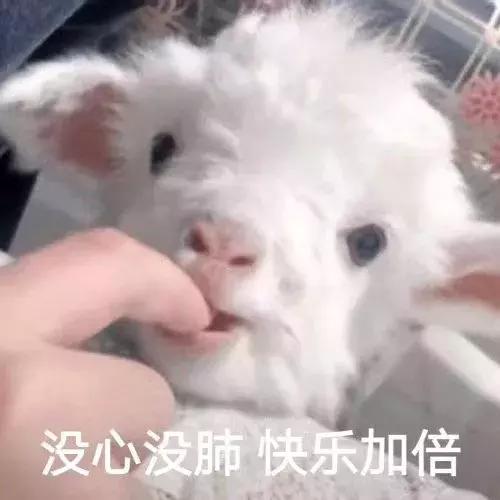 国庆长假倒计时假期出游有哪些必备好物， 好物 出游好物 假期出游必备好物 美容 第1张