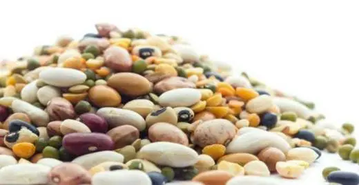 25岁后留住胶原蛋白吃这些食物，滋润肌肤又美容养颜 胶原蛋白 食物 第7张