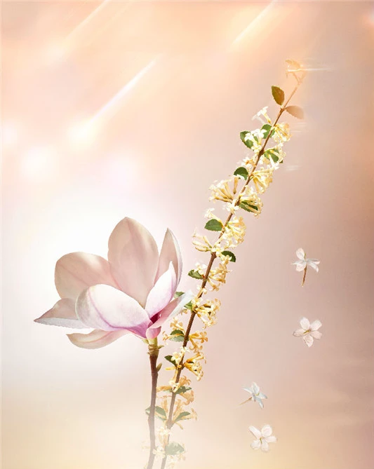 新香 | Louis Vuitton Étoile Filante 香水 新品 第2张