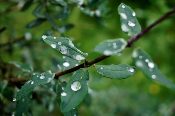 宿系之源这个品牌怎么样，要如何使用 之源 第2张