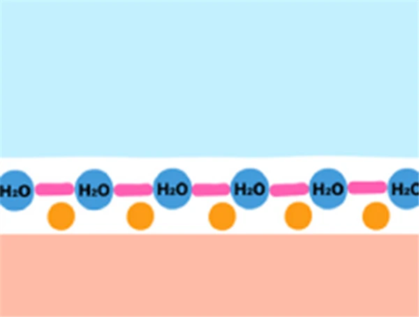 2021年新款安耐晒「3款」 安耐晒 第7张