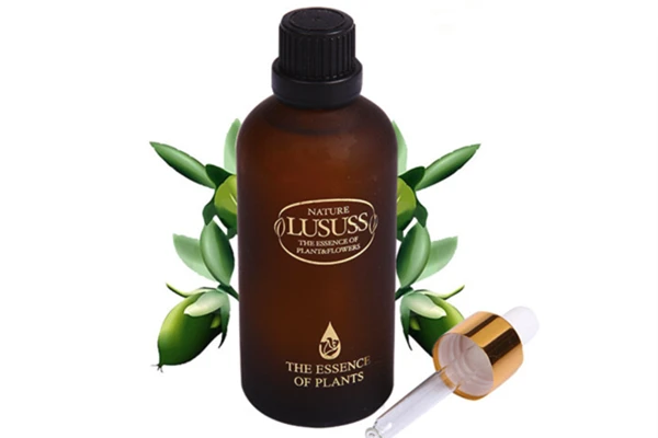 荷荷巴油去黑头如此神奇 荷荷 第3张