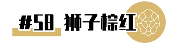 CHANEL2021年新品限定香奈儿狮子口红全系试色大全 口红 香奈儿 第10张