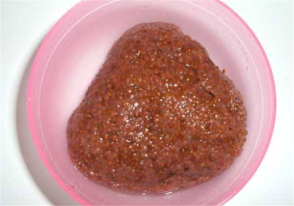 牛奶可以调海藻面膜吗，海藻可以和什么一起调面膜 牛奶 海藻面膜 第2张