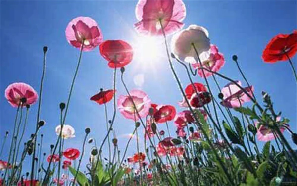 防晒10大误区 护肤 第6张 防晒10大误区 护肤 第6张